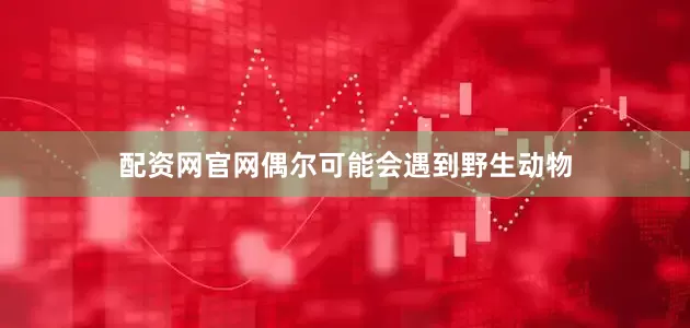 配资网官网偶尔可能会遇到野生动物